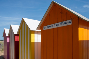 Réparation dégât des eaux Le Plessis-Trévise